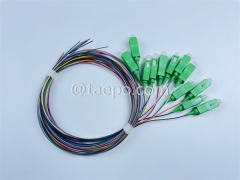 Einzelmodus 12 Fasern SC APC an SC APC -Glasfaser -Fanout Pigtail