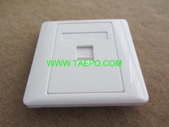 1-Port faseplate