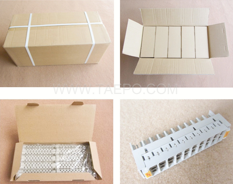 Verpackungsbilder für das Überspannungsschutz-Magazin mit 2 Polen und 10 Paaren