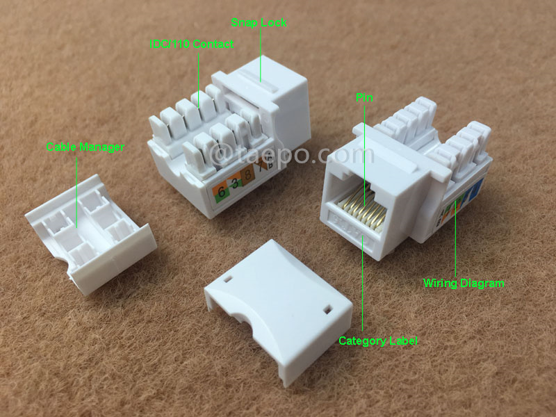 Illustrationsbilder für Keystone Jack, CAT6, UTP, 8P8C, 90 Grad, AP-Stil