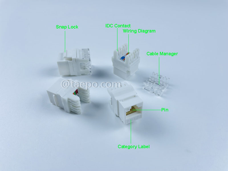 Illustrationsbilder für Keystone jack, CAT6, UTP, 8P8C, 180 Grad, AP-Stil