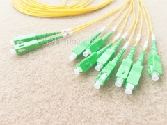 Glasfaser-Splitter, PLC, Kunststoffgehäuse, G657A, 2x8, 2 mm Loose Tube, 1 m, mit SC/APC-Stecker